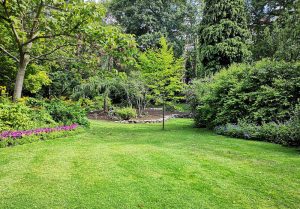 Optimiser l'expérience du jardin à La Celle-Saint-Cloud